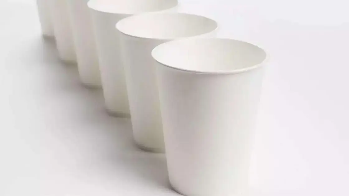 Guia de compras: escolhendo os melhores copos de papel biodegradáveis